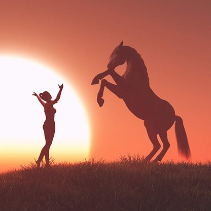 Horse Gifts for Girls - Stainless Steel Heart Initial Necklace, Dainty Jewelry for Women, Teen Girls, Horse Lovers