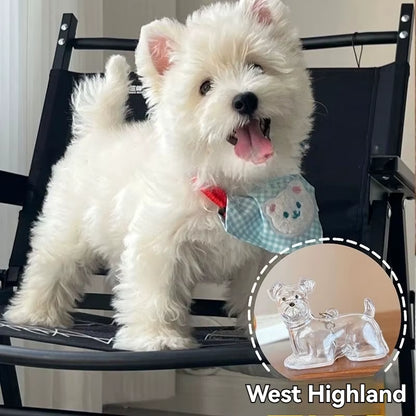 Large Size Dog Hair Storage Pendant Keychain Transparent Pet Fur Keepsake Capsule DIY Decoration Memorial Gifts for Pet Lovers