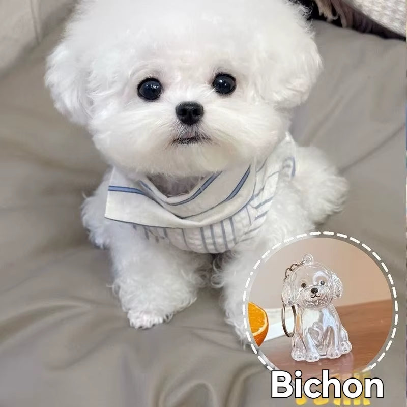 Large Size Dog Hair Storage Pendant Keychain Transparent Pet Fur Keepsake Capsule DIY Decoration Memorial Gifts for Pet Lovers