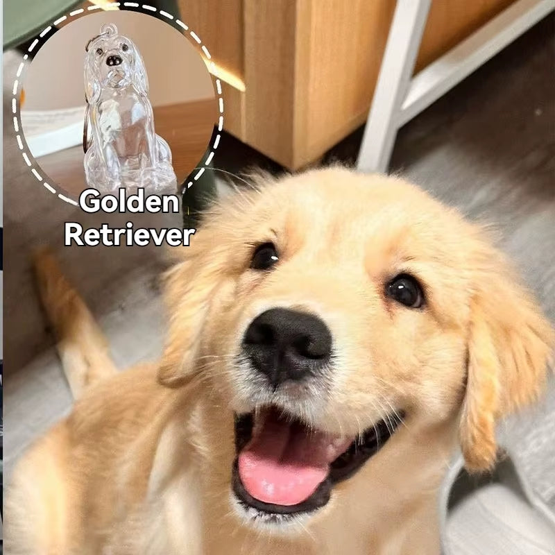 Large Size Dog Hair Storage Pendant Keychain Transparent Pet Fur Keepsake Capsule DIY Decoration Memorial Gifts for Pet Lovers