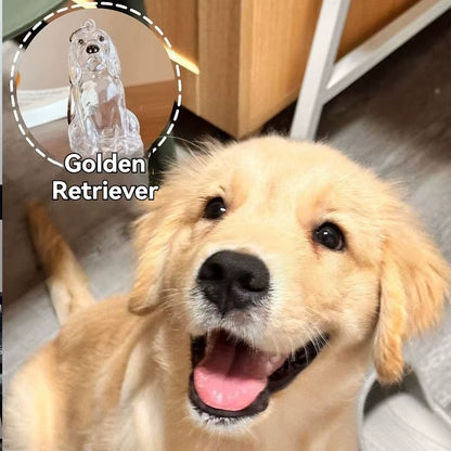 Large Size Dog Hair Storage Pendant Keychain Transparent Pet Fur Keepsake Capsule DIY Decoration Memorial Gifts for Pet Lovers