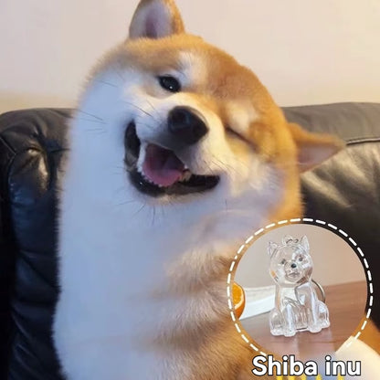 Large Size Dog Hair Storage Pendant Keychain Transparent Pet Fur Keepsake Capsule DIY Decoration Memorial Gifts for Pet Lovers