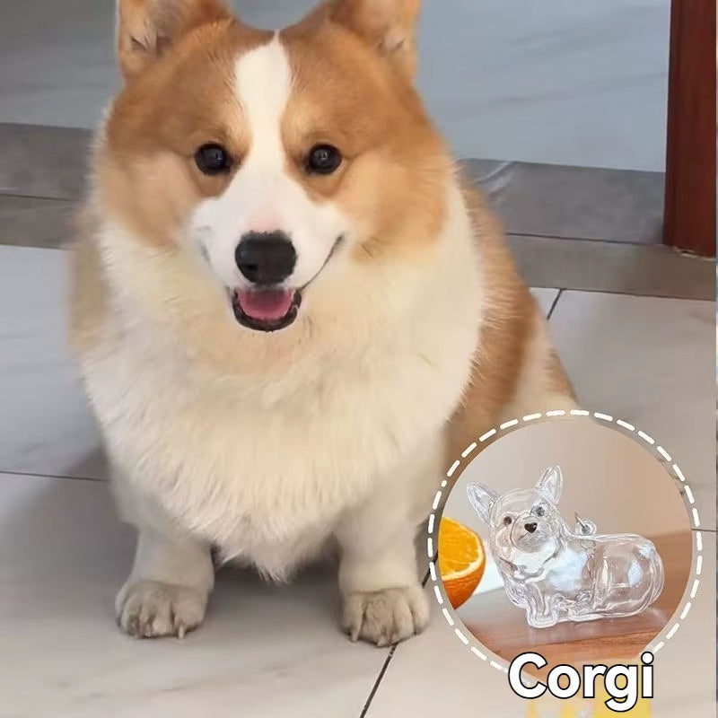 Large Size Dog Hair Storage Pendant Keychain Transparent Pet Fur Keepsake Capsule DIY Decoration Memorial Gifts for Pet Lovers