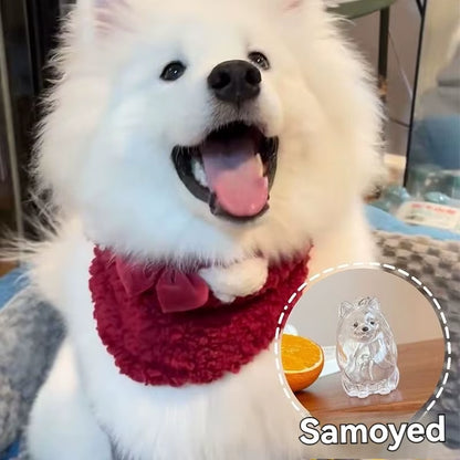 Large Size Dog Hair Storage Pendant Keychain Transparent Pet Fur Keepsake Capsule DIY Decoration Memorial Gifts for Pet Lovers